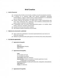 Brief Modulo de venta. Página 1