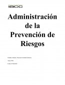 Estructura Organizacional de Prevención de Riesgos