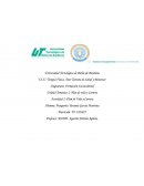 Actividad 2: Plan de Vida y Carrera