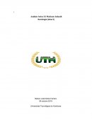 Ensayo Origen de la Violencia