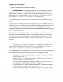 Litología de la superficie