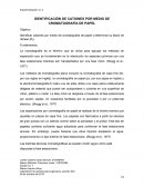 IDENTIFICACIÓN DE CATIONES POR MEDIO DE CROMATOGRAFÍA DE PAPEL