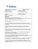 Aspectos comercio internacional de México