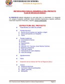 PLAN DE NEGOCIOS BÁSICO