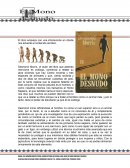 Resumen mono desnudo