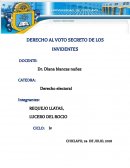 DERECHO AL VOTO SECRETO DE LOS INVIDENTES