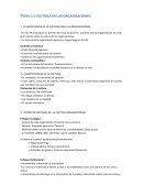LA CULTURA EN LAS ORGANIZACIONES