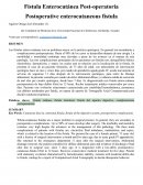 Fistula Enterocutanea, presentación de Caso