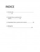 Propiedades físicas y químicas de la materia