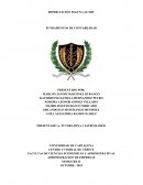 DEPRECIACIÓN SEGÚN LAS NIIF