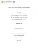 Unidad 2 – Marco Teóricos y metodologías en Psicología Comunitaria