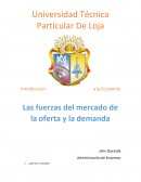 Informe economia. Las fuerzas del mercado de la oferta y la demanda