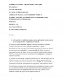 INTEGRACION PROFESIONAL ESTUDIO DEL CASO: INTERMEDIACION INMOBILIARIA
