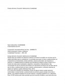 Ensayo del tema: Evolución Histórica de la Contabilidad