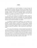 Analisis Formacion Critica 1