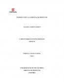 Tramo de vía nacional