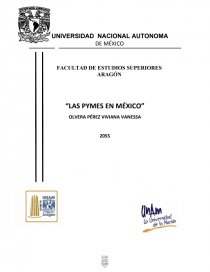LAS PYMES EN MÉXICO. Página 1