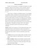 Estratos Socioeconómicos