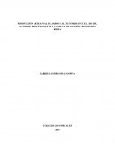 PRODUCCION CASERA DE JABON CALCICO MEDIANTE EL USO DEL PALMICHE PROVENIENTE DE LA ESPECIE DE PALMERA ROYSTONEA REGIA