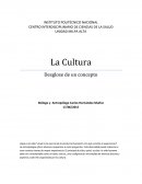 La Cultura Desglose de un concepto