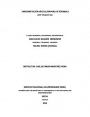 IMPLEMENTACIÓN APLICACIÓN PARA VETERINARIA (APP MASCOTAS)