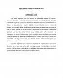 LOS ESTILOS DE APRENDIZAJE