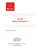 SW ERP MÓDULO FINANZAS FI