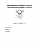 Biogenética
