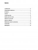 DERECHOS A DECIDIR (ABORTO)