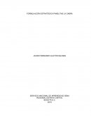 FORMULACIÓN ESTRATÉGICA PANELITAS LA CABRA