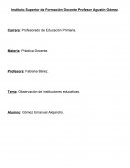Observación de instituciones educativas