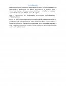 Coworking, Networking