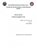 Servicios sociales. Producto Integral final