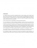 Perdida de valores en nuestra sociedad