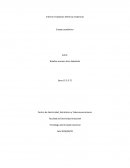 Informe Instalación Eléctrica residencial