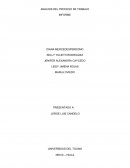 Analisis del proceso de tarbajo