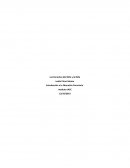 Los Derechos del Niño y la Niña