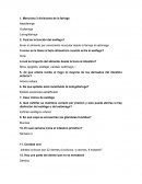 Guia sistema digestivo