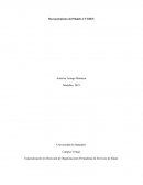 Universidad de Santander