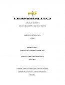 RELATO DESCRIPTIVO DE UN CONFLICTO