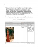 Teorias de la inteligencia. Cuadro de Planeación de Fotografías