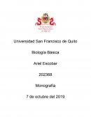 Las Orquídeas: características y diversidad