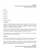 El estado. Interacción entre los elementos que conforman el estado