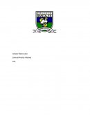 Cuestionario de informatica