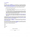 CARTA DE CONFIDENCIALIDAD