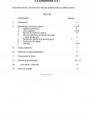 Propuesta Tecnica de Formato de Presentacion de Auditoria La Esperanza S.A.