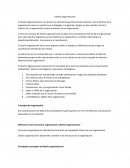 Diseño organizacional . Importancia del diseño organizacional