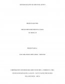 SISTEMATIZACIÓN DE EXPERIENCIAS - GRUPO DE APOYO