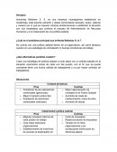 ¿Cuál es el problema principal que enfrenta Bellamar S. A.?