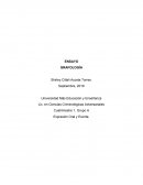 Ensayo de Grafología